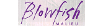 Blowfishshoes.com Coupons