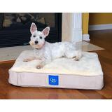 Serta True Response Pet Bed Coupons