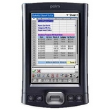 Palm TX Coupons