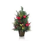 Mikasa Bird Conetree in Pot, 24 inch Coupons