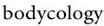 Bodycology Coupons